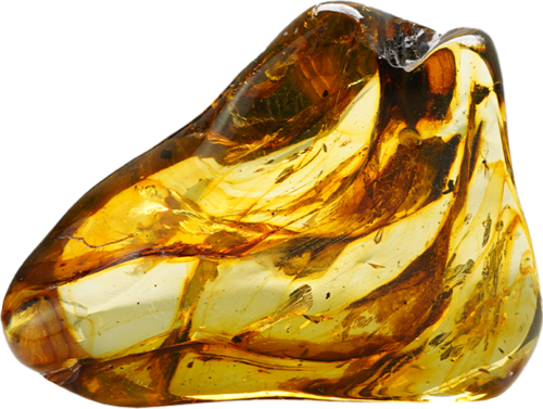 46,35 g Amber nugget with inclusion (1)