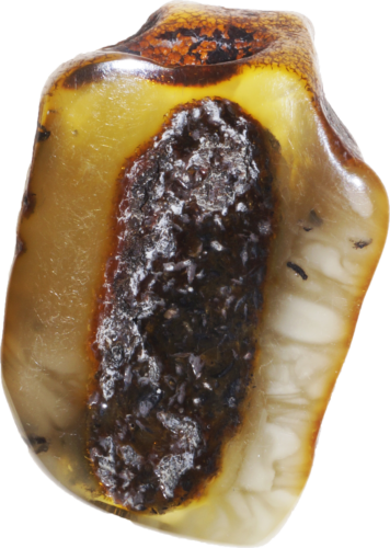 0,85 гр. Самороден кехлибар (1)