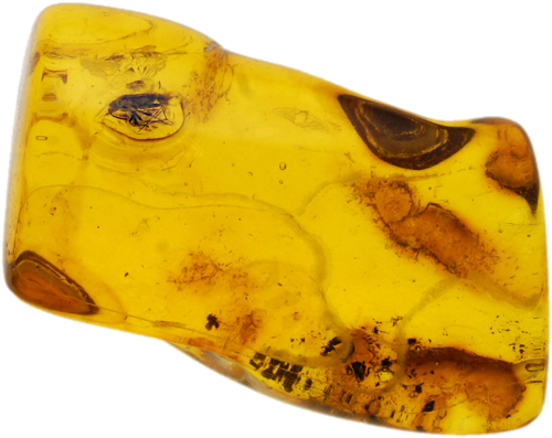 7,85 g Amber Nugget with inclusion (1)