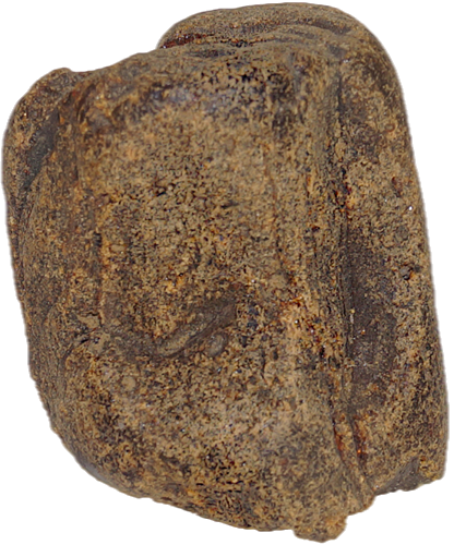 25,90 g Amber Nugget (1)