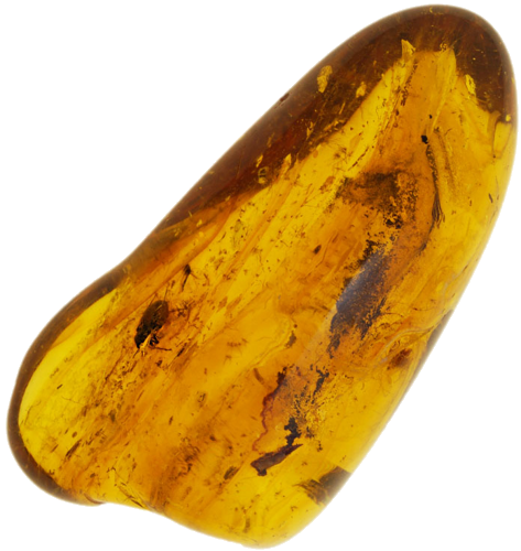 5,50 g Amber Nugget with inclusion (1)