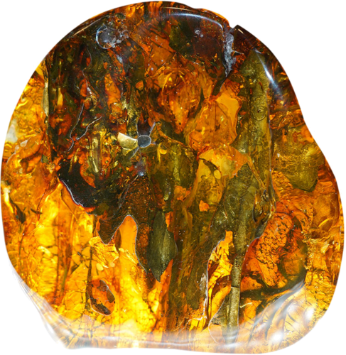 31,60 g Amber nugget (1)