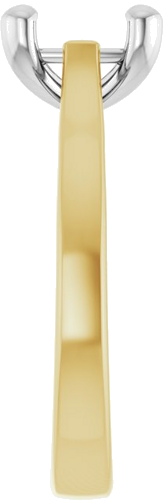 Sužadėtuvių Žiedas 10k yellow/white gold Oval 9mm x 7mm (4)