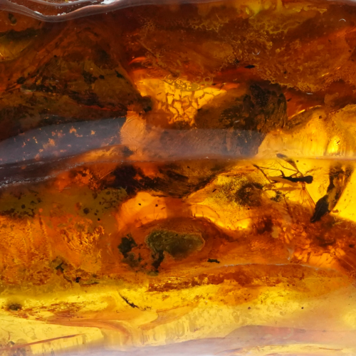 13,10 g Amber Nugget with inclusion (2)