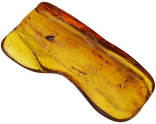 1,00 g Amber Nugget with inclusion (1)