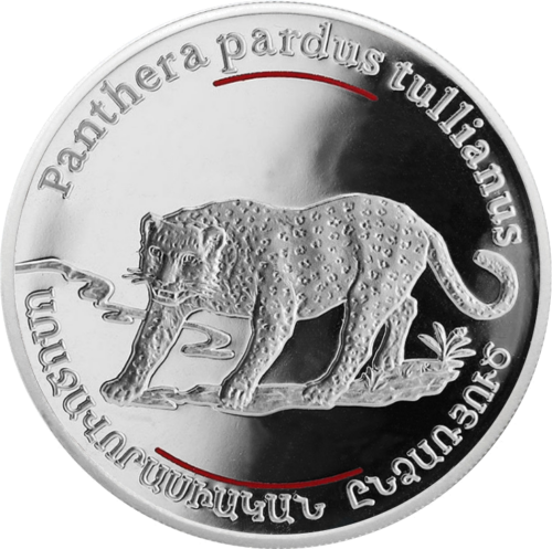100 драм Леопард 2007 Армения серебряная монета (1)