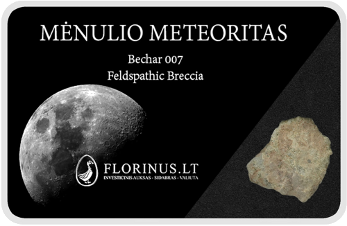 Lunar Meteorite (1)