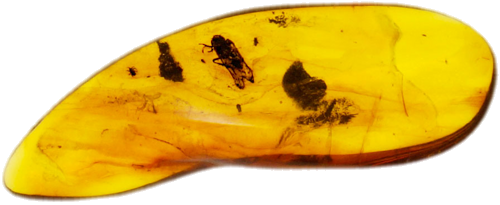 1,20 g Amber Nugget with inclusion (1)