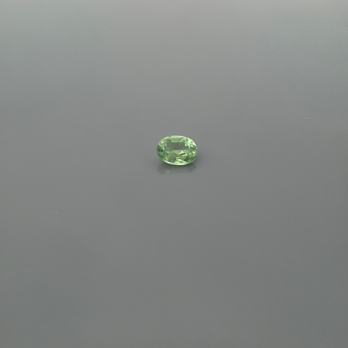 0.49 carat GREEN Oval Garnet (1)