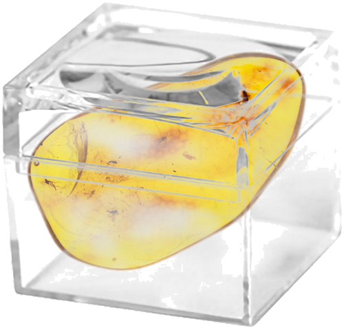 Самородок янтаря с инклюзом 4,80 г (2)