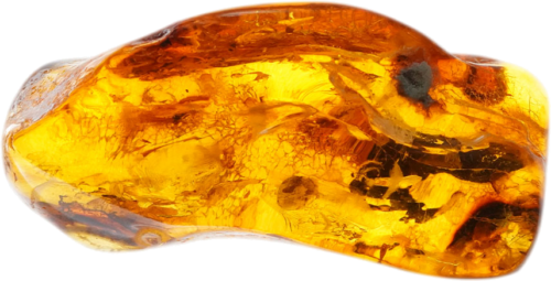 3,05 g Amber Nugget with inclusion (2)