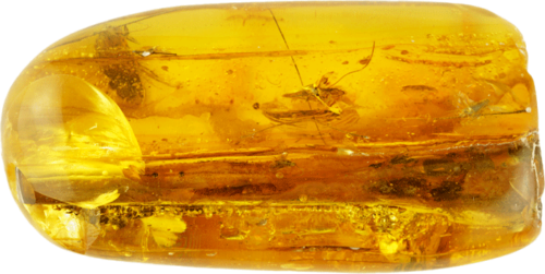 18,75 g Amber nugget with butterfly inlay (4)