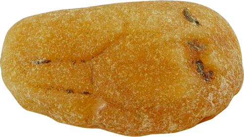 8,45 g Jūrinio Gintaro grynuolis (3)