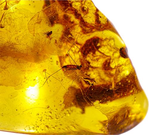 29,90 g Gintaro grynuolis su inkliuzu (3)