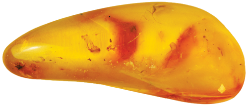 Янтарь с инклюзом 6,25 г (2)