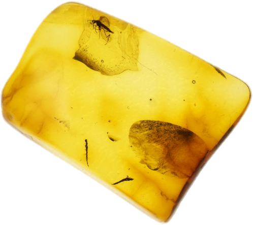 0,90 g Amber Nugget with inclusion (1)
