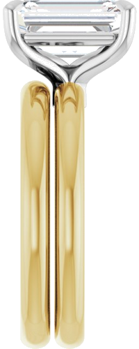 Sužadėtuvių Žiedas „Claw-Prong Euro Shank“ 14k yellow/white gold Emerald 10mm x 7mm (9)