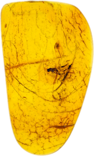 1,40 гр. Самороден кехлибар с фосил (1)