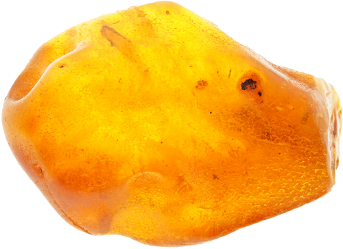 9,00 g Amber Nugget with inclusion (1)