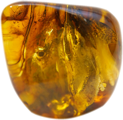 31,60 g Amber nugget (3)