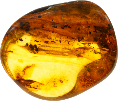 14,85 g Amber nugget (1)