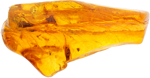 38,60 g Amber Nugget with inclusion (3)