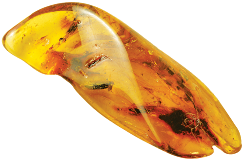 6,60 g Amber Nugget with inclusion (2)