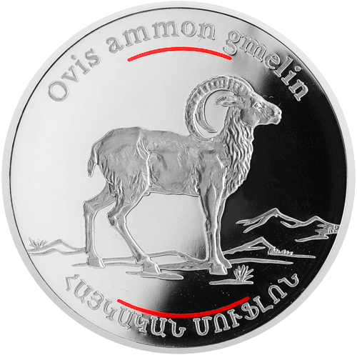 100 драм Муфлон 2008 Армения серебряная монета (1)