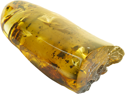 46,60 g Amber nugget (4)