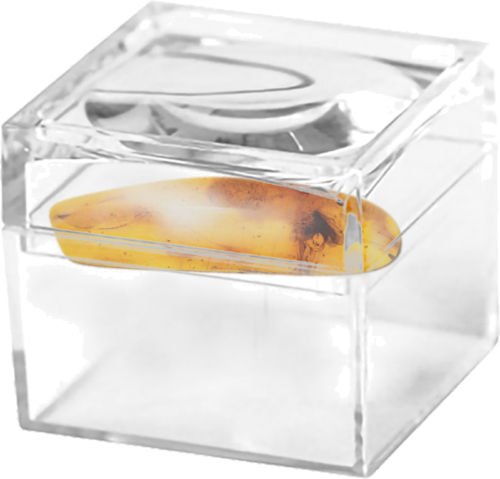 1,30 гр. Самороден кехлибар с фосил (2)