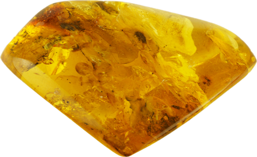 10,80 g Amber nugget with inclusion (1)