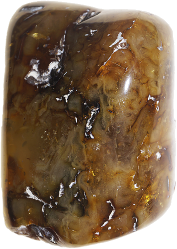 42,00 g Amber nugget (2)