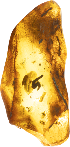 3,90 g Amber nugget with inclusion (3)