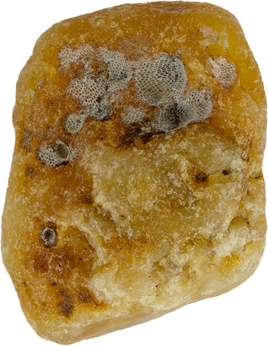 8.15 g Sea amber nugget (2)