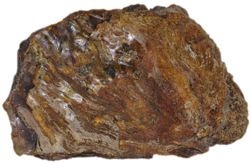 310 g Amber Nugget (2)