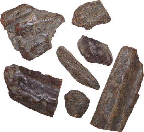 Raw amber! 20 g - 100 g (2)