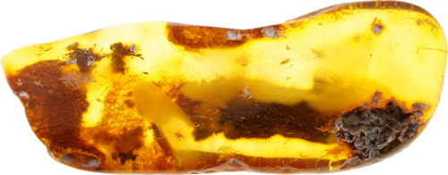 10,65 g Amber nugget (1)