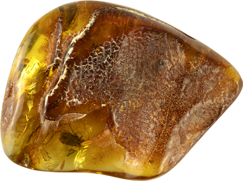 22,15 g Amber Nugget with fly inclusion (4)