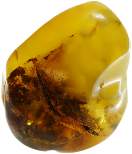 20,30 g Amber nugget (1)
