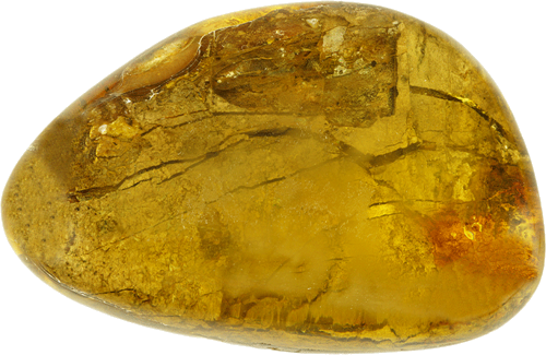 22,15 g Amber Nugget with fly inclusion (1)