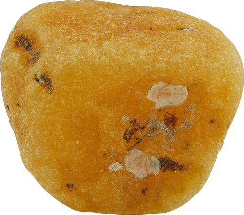 8.45 g Sea amber nugget (1)