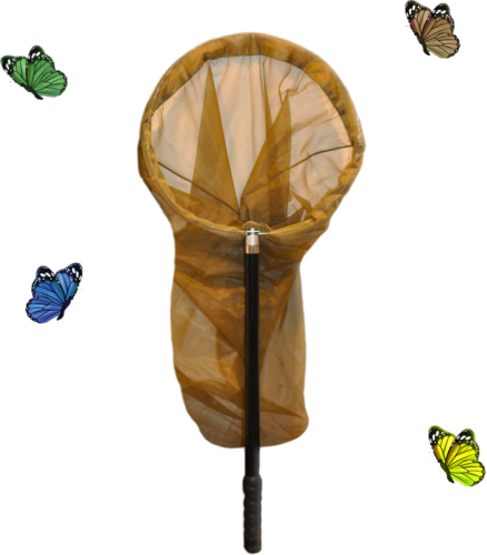 Мрежа за улавяне на пеперуди (2)