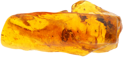 38,60 g Amber Nugget with inclusion (1)