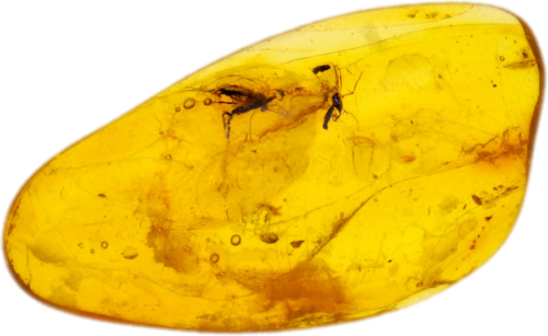 1,40 g Amber Nugget with inclusions (1)