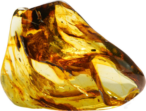 46,35 g Amber nugget with inclusion (2)