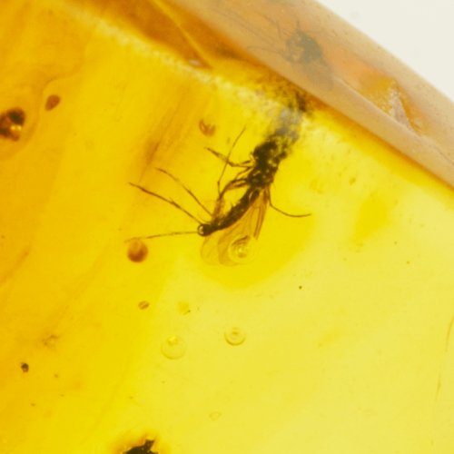 Самородок янтаря с инклюзом 1,45 г (2)