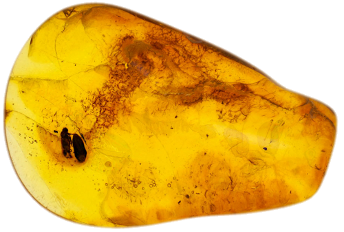 3,10 g Gintaro grynuolis su inkliuzu (1)