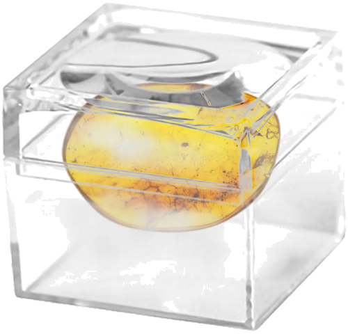 0,90 g Amber Nugget with inclusion (2)