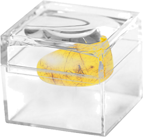 1,40 g Gintaro grynuolis su inkliuzu (2)