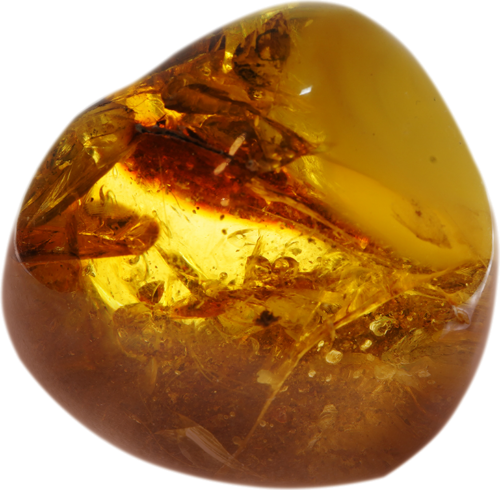 31,60 g Amber nugget (1)